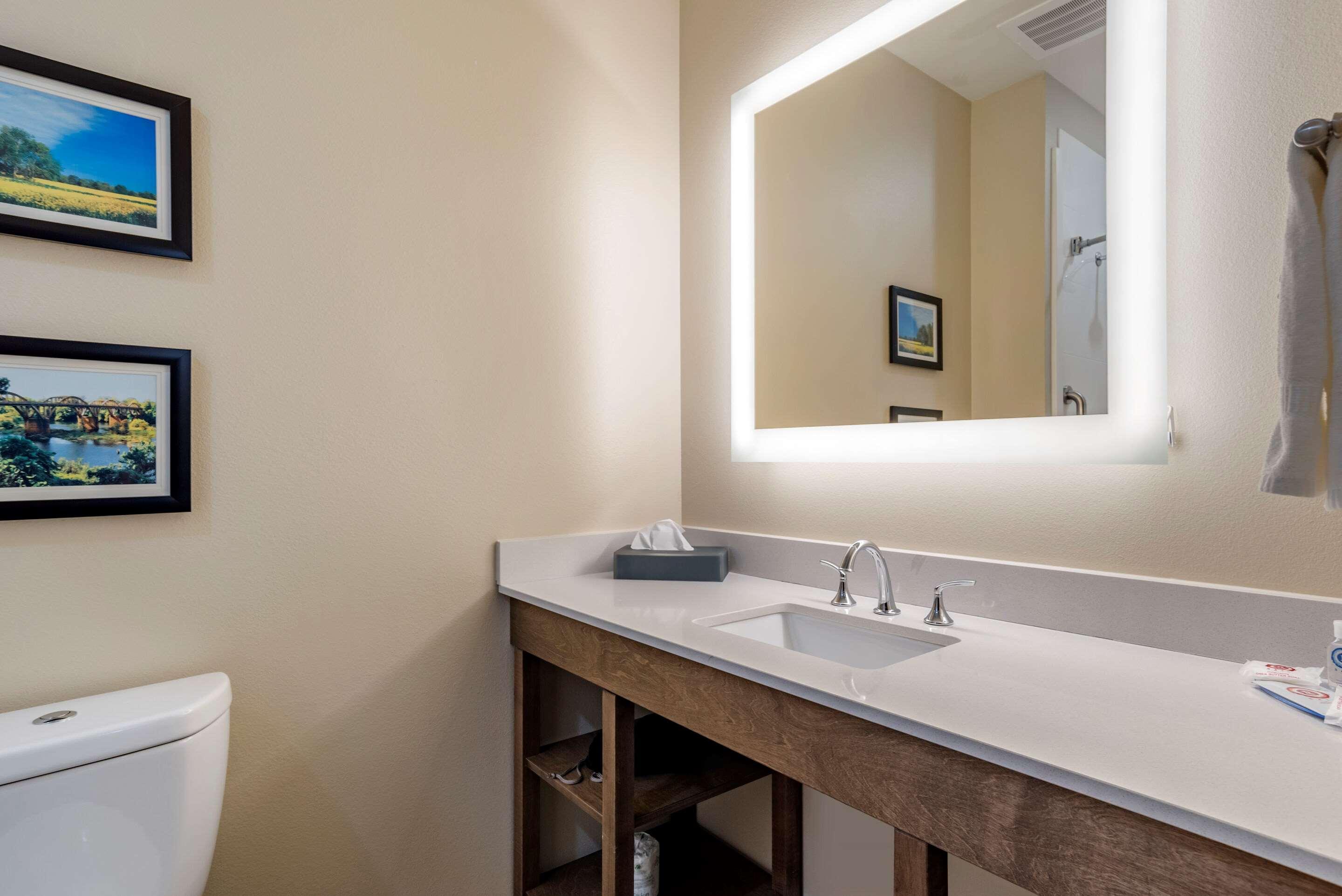 טסקלוסה Comfort Inn & Suites Downtown Near University מראה חיצוני תמונה